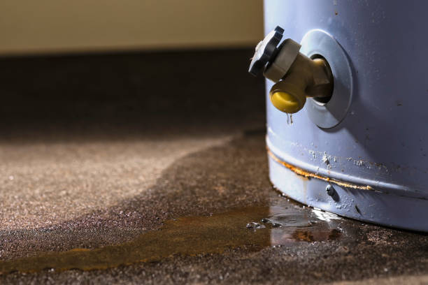 Best Residential water damage restoration  in Hagerman, ID