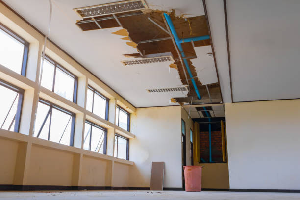 Best Flood damage cleanup  in Hagerman, ID