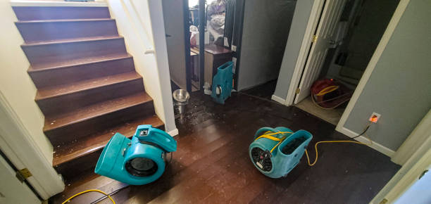 Best Water damage restoration near me  in Hagerman, ID