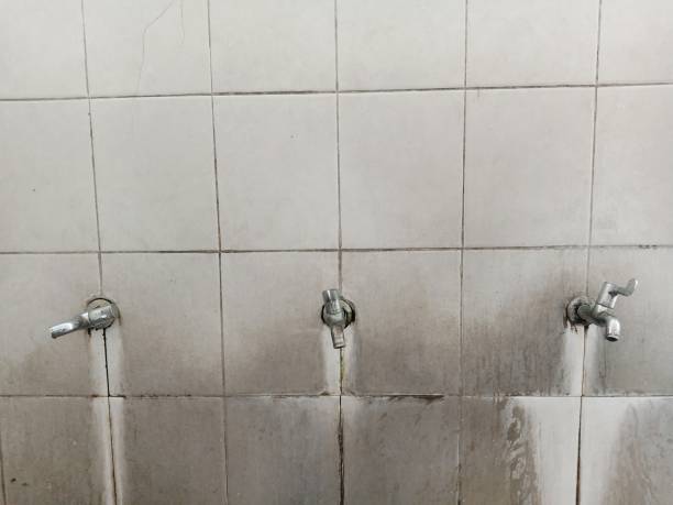 Best Flood restoration services  in Hagerman, ID