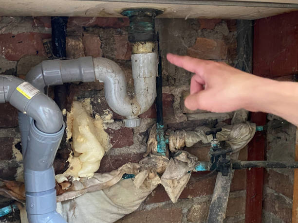 Best Water damage cleanup near me  in Hagerman, ID